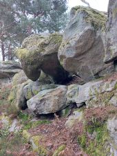 Point of interest Fontainebleau - Unnamed POI - Photo 1