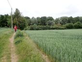 Point d'intérêt Genappe - Vue nord-ouest Chemin de Loncée - GRP 127 - Photo 1