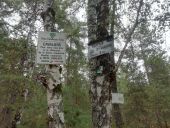 Punto de interés Fontainebleau - Piste cavalière - Photo 1