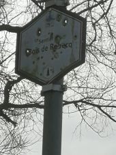 Point d'intérêt Braine-le-Comte - Sentier du Bois de Rebecq - Photo 1