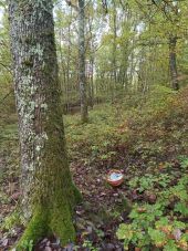 Point d'intérêt Bort-l'Étang - trompette  - Photo 2