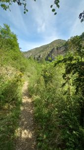 Punto de interés Gorges du Tarn Causses - face à Pougnadoires - Photo 5