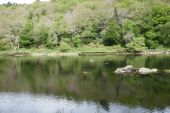 Point d'intérêt Hennebont - Vestiges de péniches du Blavet - Photo 1