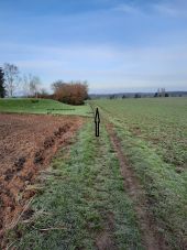 Punto di interesse Villers-la-Ville - Lisière du Golf de Rigenée - Photo 1