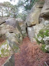 Punto de interés Fontainebleau - Unnamed POI - Photo 1