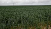 Punto di interesse Genappe - Vues nord, est et ouest dans la Rue de Fonteny - Photo 1