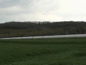 Point d'intérêt Braine-le-Comte - Vue vers le Grand Bois et les serres de la ferme de Joli Bois - Photo 1