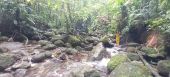 Point d'intérêt Fonds-Saint-Denis - remontée de la rivière jusqu'au gorges 2 - Photo 2