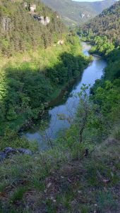 POI Massegros Causses Gorges - Sentier en balcon  - Photo 3