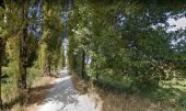 POI Saint-André-de-Cubzac - belle allée bordée d'arbres - Photo 1