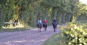 POI Coye-la-Forêt - Entrainement des chevaux au galop - Photo 1