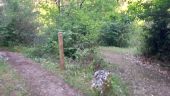 Point d'intérêt Massegros Causses Gorges - La Jonquière-Embranchement - Photo 1