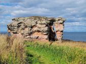 Point of interest Unknown - Buddo Rock - Photo 1