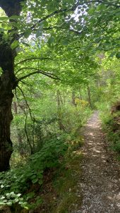 Punto di interesse Gorges du Tarn Causses - face à Pougnadoires - Photo 6