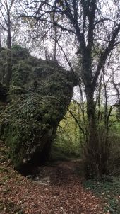 Point d'intérêt Messigny-et-Vantoux - Roche -Combe-d'Arvaux - Photo 1