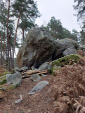 Point of interest Fontainebleau - Unnamed POI - Photo 1