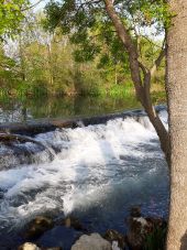 Point of interest Entraigues-sur-la-Sorgue - CASCADE - Photo 1