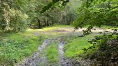 Punto di interesse Dampleux - Unnamed POI - Photo 3