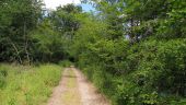 Point d'intérêt Choisy-au-Bac - Point 30 - Photo 9