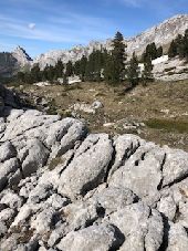 Point d'intérêt Villard-de-Lans - bivouac 1 - Photo 1