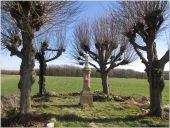 Point of interest Roberval - notre Dame des champs - Photo 1