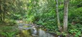 Point of interest La Bresse - Unnamed POI - Photo 1