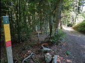 Punto di interesse Saint-Nizier-du-Moucherotte - Le Corba - Photo 1