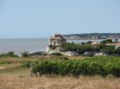 Point of interest Talmont-sur-Gironde - Les hauts de Talmont - Photo 1
