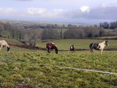 POI Trémouilles - RANCH DU LEVEZOU - Photo 4