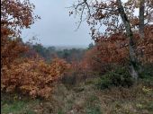 Point d'intérêt Fontainebleau - Point de vue du camp d'Arbonne - Photo 1