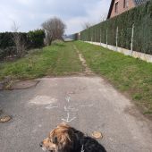 Punto de interés Villers-la-Ville - Chemin agricole joignant Dreumont à la rue du Petit Marmeau - Photo 1