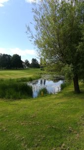 Punto de interés Villers-la-Ville - Vue sud-ouest sur un des étangs du golf de Rigenée - Photo 4