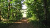 Point d'intérêt Lacroix-Saint-Ouen - Point 5 - Photo 11