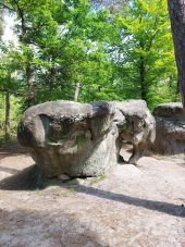 Point d'intérêt Fontainebleau - Rocher de l'Eléphant - Photo 1