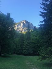 Point d'intérêt Saint-Pierre-d'Entremont - Bivouac Cirque de Mémé - Photo 2