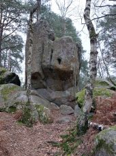 Punto di interesse Fontainebleau - Unnamed POI - Photo 1