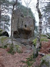 Point d'intérêt Fontainebleau - 4-3 C Roche de Jeanne Hachette - Photo 1