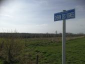 Point of interest Tubize - Les nouvelles vignes du Domaine 