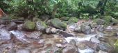 Point d'intérêt Fonds-Saint-Denis - remontée de la rivière jusqu'au gorges 2 - Photo 1