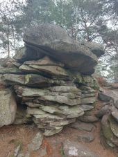 POI Fontainebleau - Z - La Roche Feuilletée - Photo 1