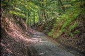 Point d'intérêt Court-Saint-Étienne - Chemin de Noirhat - Photo 1