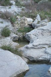 Point d'intérêt Allauch - source du chien - Photo 1