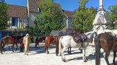 Punto di interesse Provins - Place du Chatel - Photo 1