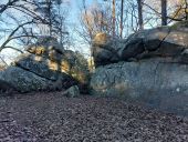 POI Fontainebleau - Unnamed POI - Photo 1