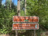 Point d'intérêt Ambierle - Forêt sectionale des Servajeans - Photo 1