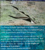 Punto di interesse Virton - Ruisseau du Cron - Photo 9