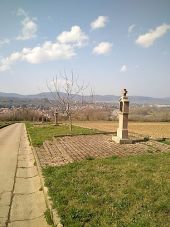 Point of interest Marmoutier - Le chemin du rosaire. - Photo 1