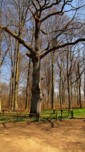 Point d'intérêt Saint-Crépin-aux-Bois - Point 18 - Photo 15