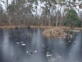 Punto de interés Fontainebleau - Unnamed POI - Photo 1