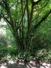 POI Vimont - 1#8 - Entre Plaine et Marais à Chicheboville - Photo 1